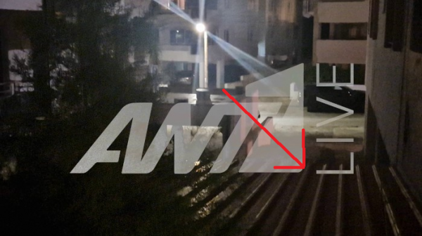 δολοφονια αλεξη μαυρομιχαλη 2