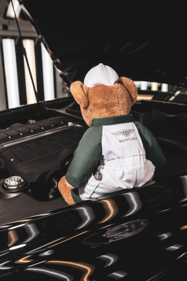 thumbnail_Bentley Bears - 3