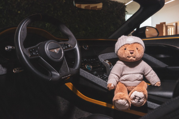 thumbnail_Bentley Bears - 7.