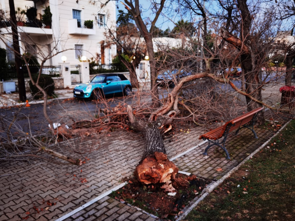 ητρ