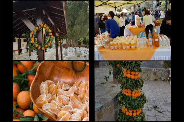 ΦΕΣΤΙΒΑΛ μανταρινιου ΔΙΕΡΩΝΑΣ