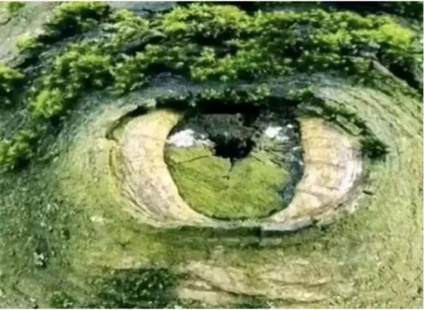 ξυτ
