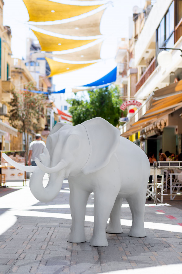 elephant