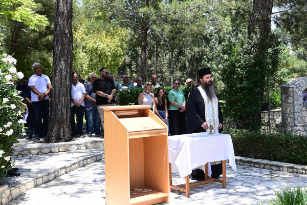 τμημα δασων