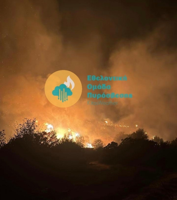 φωτια πισσουρι