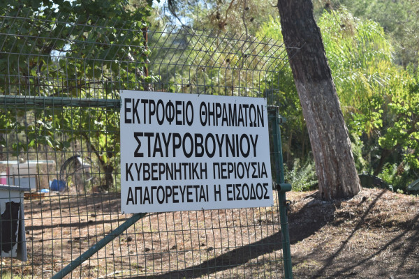 τδ