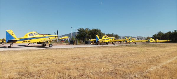 τμημα δασων