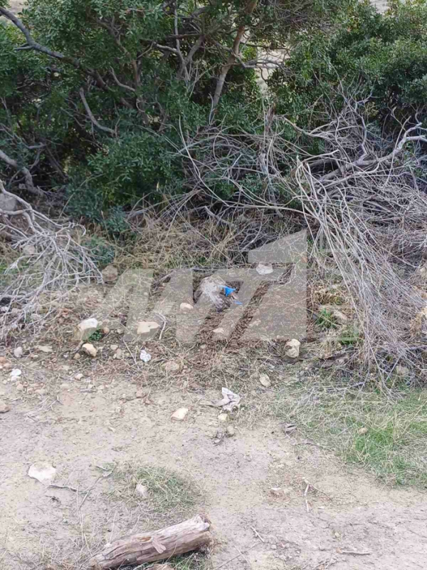 σφαιρες Λεμεσος