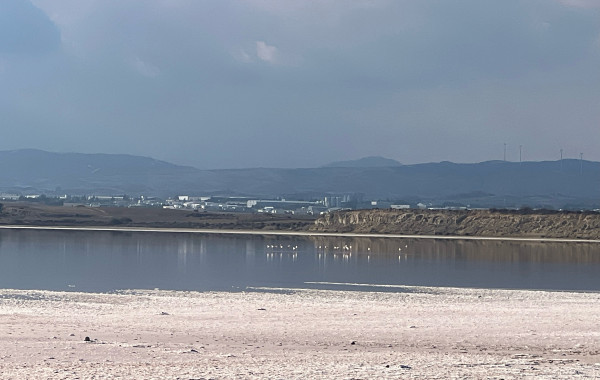 ΚΘΥ