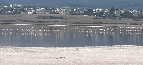ΚΘΥ