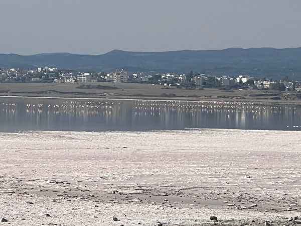 ΚΘΥ