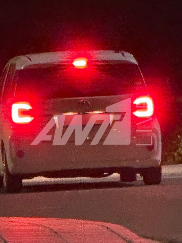 μεταναστες αυτοκινητο ενικοιασης