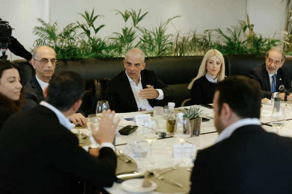 αννιτα δημητριου οεβ 3
