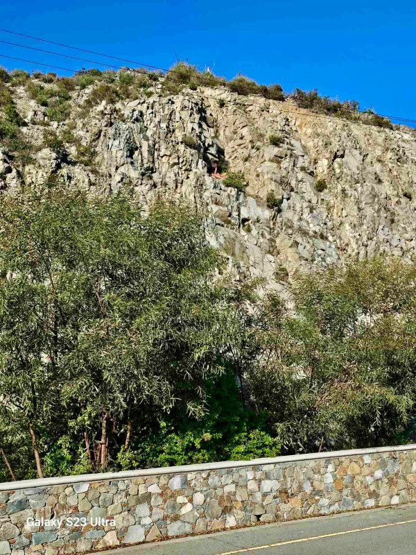 διάσωση