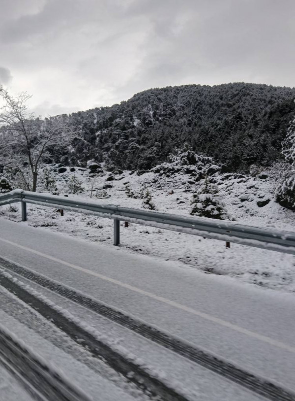 ρεδ
