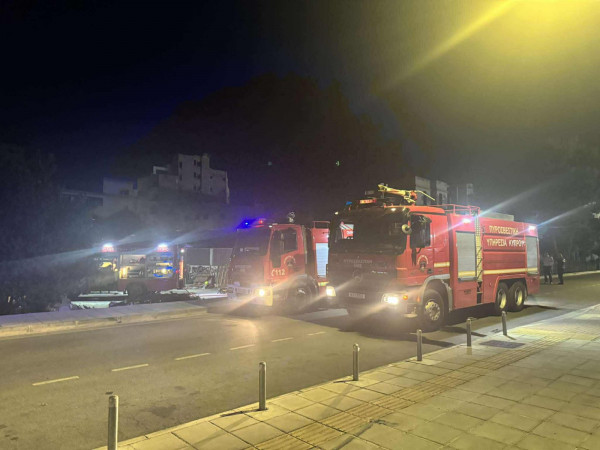 πυρκαγια Λανιτειο