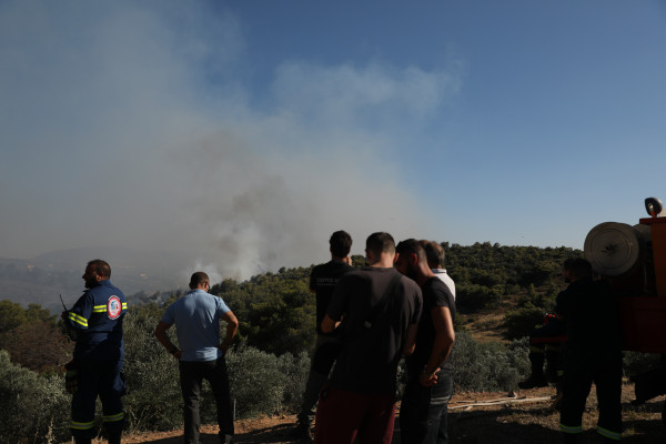 πικερμι