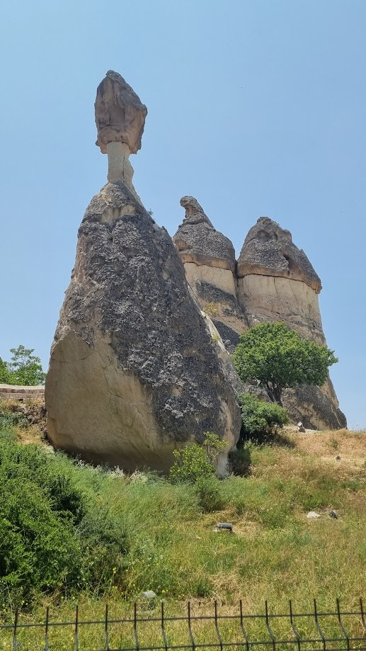 6_Αμπέλι του Πασά_Καππαδοκία
