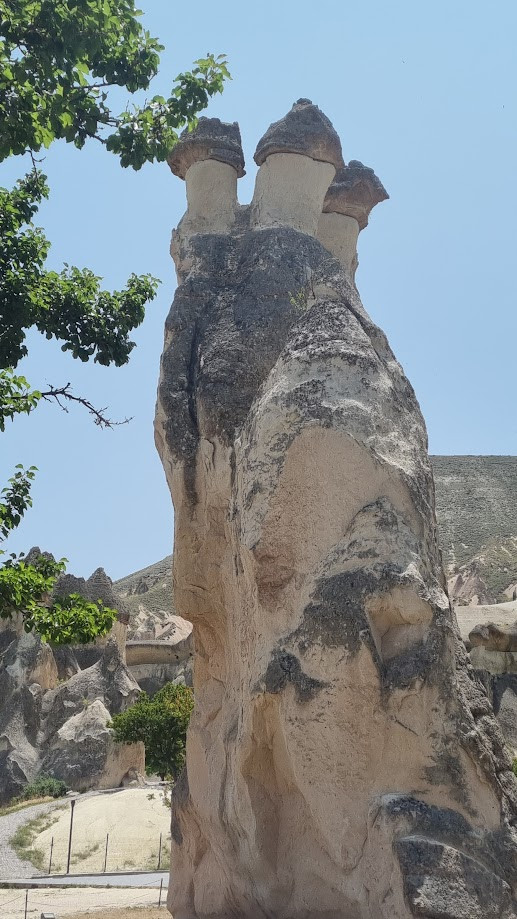 8_Αμπέλι του Πασά_Καππαδοκία