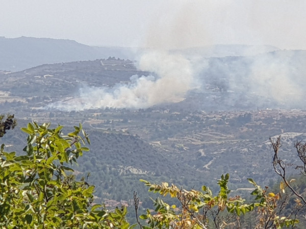 ΟΜΟΔΟΣ