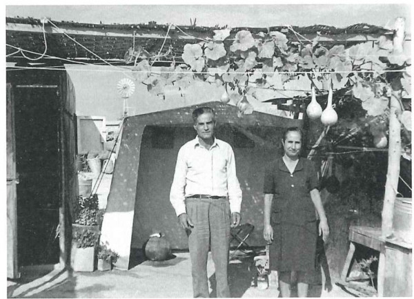 χαμπής 5 
