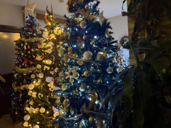 ερς