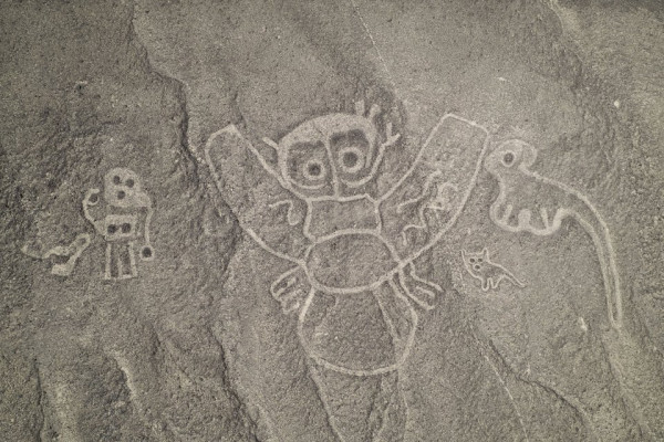 ΝΝ