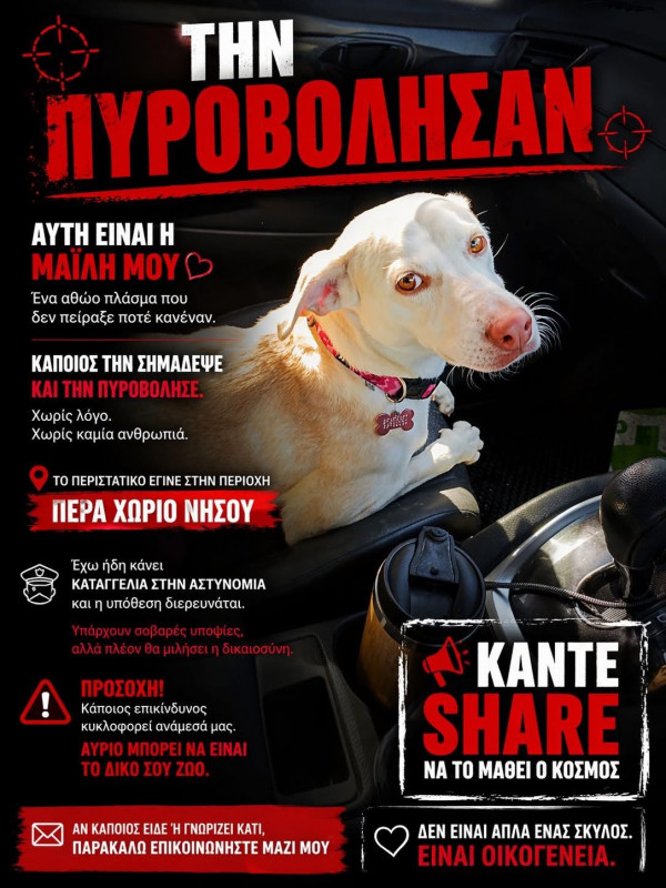 ρεδ