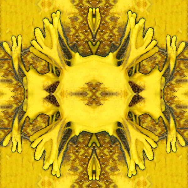 ΑΑ