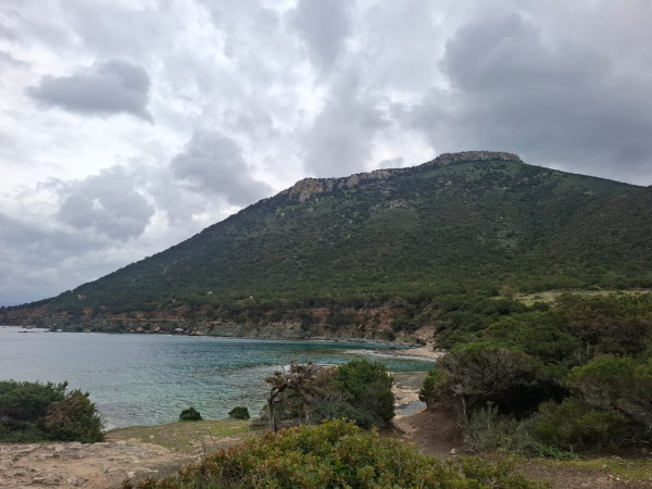ρςε