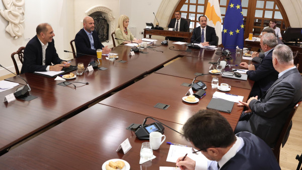 εθνικό συμβούλιο