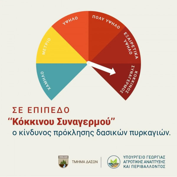 θ