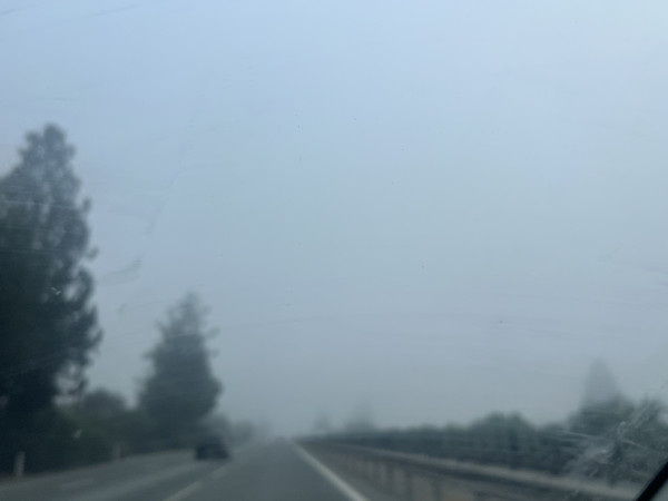 ιό