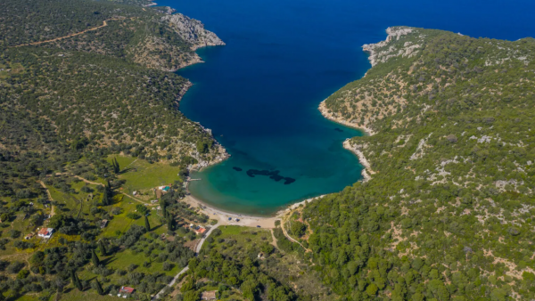 Βαγωνιά