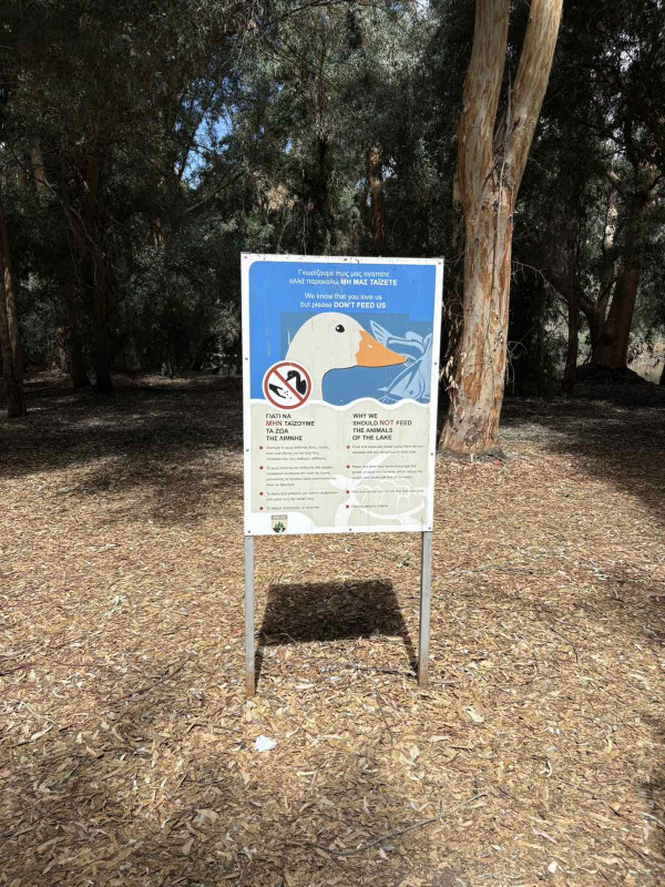 τβη