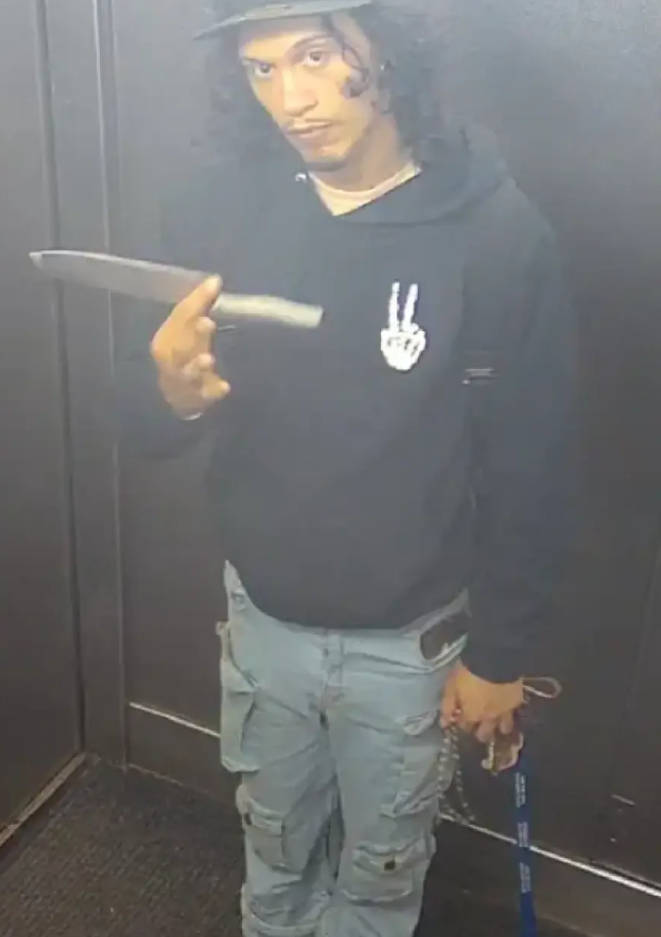 φ