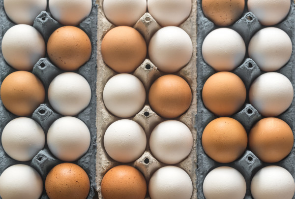 eggs
