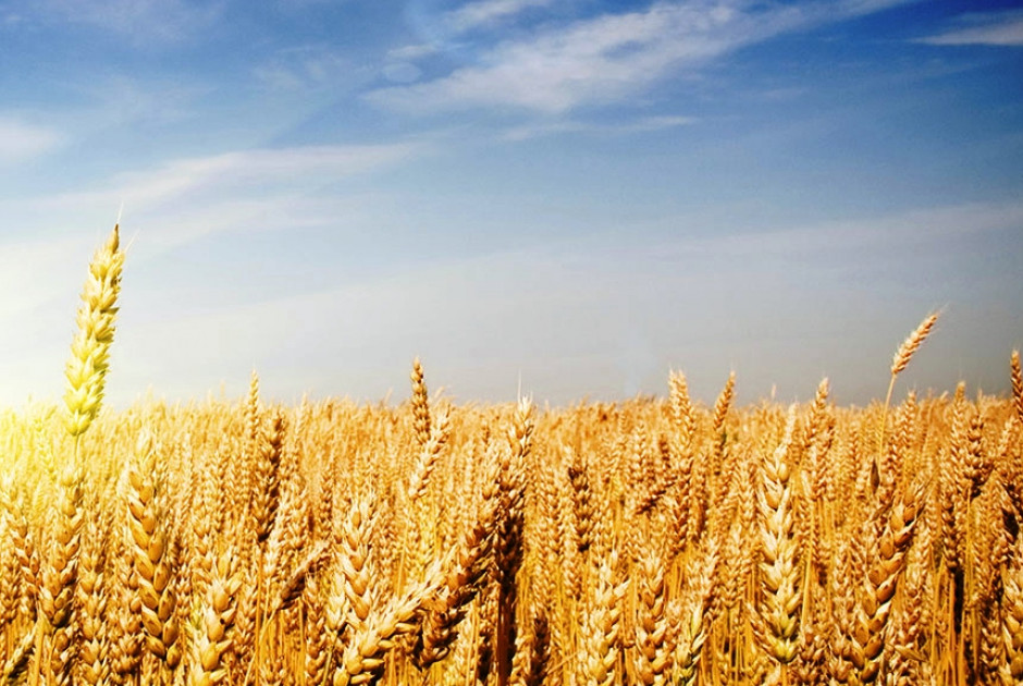 &Epsilon;&upsilon;&rho;&omega;&pi;&alpha;ί&omicron;&iota; &pi;&alpha;&rho;&alpha;&gamma;&omega;&gamma;&omicron;ί: &Zeta;&eta;&tau;&omicron;ύ&nu; &sigma;&upsilon;&nu;&tau;&omicron;&nu;&iota;&sigma;&mu;έ&nu;&eta; &alpha;&pi;ά&nu;&tau;&eta;&sigma;&eta; &alpha;&pi;ό &Kappa;&omicron;&mu;&iota;&sigma;&iota;ό&nu; &sigma;&tau;&iota;&sigmaf; &epsilon;&pi;&iota;&pi;&tau;ώ&sigma;&epsilon;&iota;&sigmaf; &tau;&omicron;&upsilon; &pi;&omicron;&lambda;έ&mu;&omicron;&upsilon;