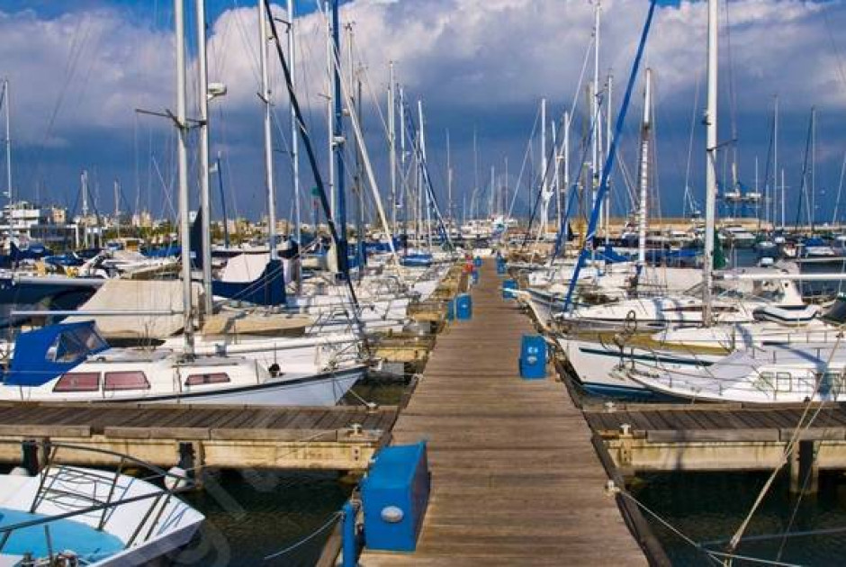 &Lambda;&iota;&mu;ά&nu;&iota; &kappa;&alpha;&iota; &Mu;&alpha;&rho;ί&nu;&alpha; &Lambda;ά&rho;&nu;&alpha;&kappa;&alpha;&sigmaf;: E&nu; &alpha;&nu;&alpha;&mu;&omicron;&nu;ή &mu;&epsilon;&lambda;έ&tau;&eta;&sigmaf; &alpha;&pi;ό &tau;&omicron; &upsilon;&pi;&epsilon;&rho;&tau;&alpha;ί&mu;&epsilon;&iota;&omicron; &Epsilon;&lambda;&lambda;ά&delta;&omicron;&sigmaf; (&Beta;&Iota;&Nu;&Tau;&Epsilon;&Omicron;)