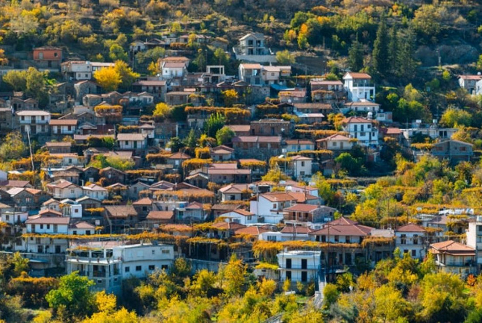 «Επίθεση» απο κλέφτες μετάλλων δέχεται η Άλωνα – Κτυπούν σπίτια ηλικιωμένων (ΒΙΝΤΕΟ)