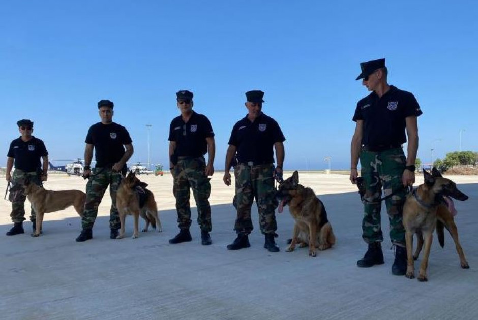 Απόφαση Υπουργικού για ΜΜΑΔ - Δείτε αναλυτικά τι προβλέπει η νέα πρόταση