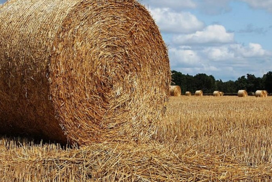 Στις φλόγες πάλες σανού στην Αραδίππου
