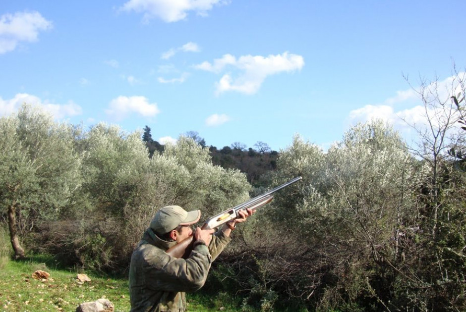 Καρτέρι θηροφυλάκων: Σύλληψη λαθροθήρων σε απαγορευμένη περιοχή