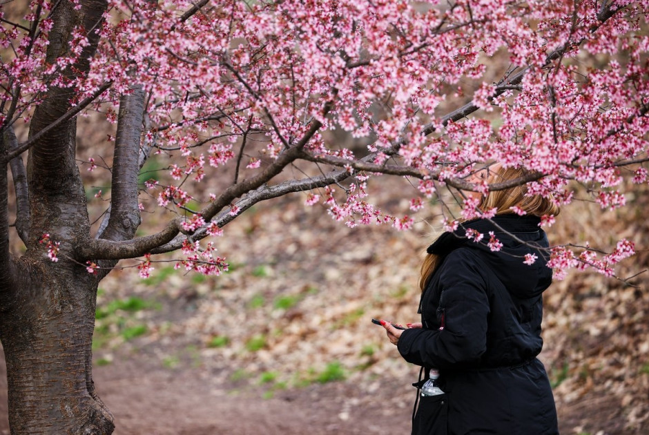 Ά&rho;&chi;&iota;&sigma;&epsilon; &nu;&alpha; &mu;&upsilon;&rho;ί&zeta;&epsilon;&iota; ά&nu;&omicron;&iota;&xi;&eta;... &Sigma;&tau;&omicron;&upsilon;&sigmaf; 24 &beta;&alpha;&theta;&mu;&omicron;ύ&sigmaf; &sigma;&kappa;&alpha;&rho;&phi;&alpha;&lambda;ώ&nu;&epsilon;&iota; &eta; &theta;&epsilon;&rho;&mu;&omicron;&kappa;&rho;&alpha;&sigma;ί&alpha;