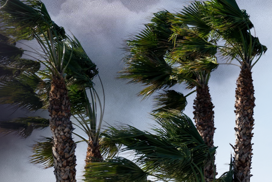 Υποχωρούν από αύριο τα φαινόμενα - Με ισχυρούς ανέμους υποδέχτηκε το 2026 η Κύπρος (ΒΙΝΤΕΟ)