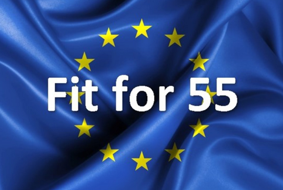 fit 55