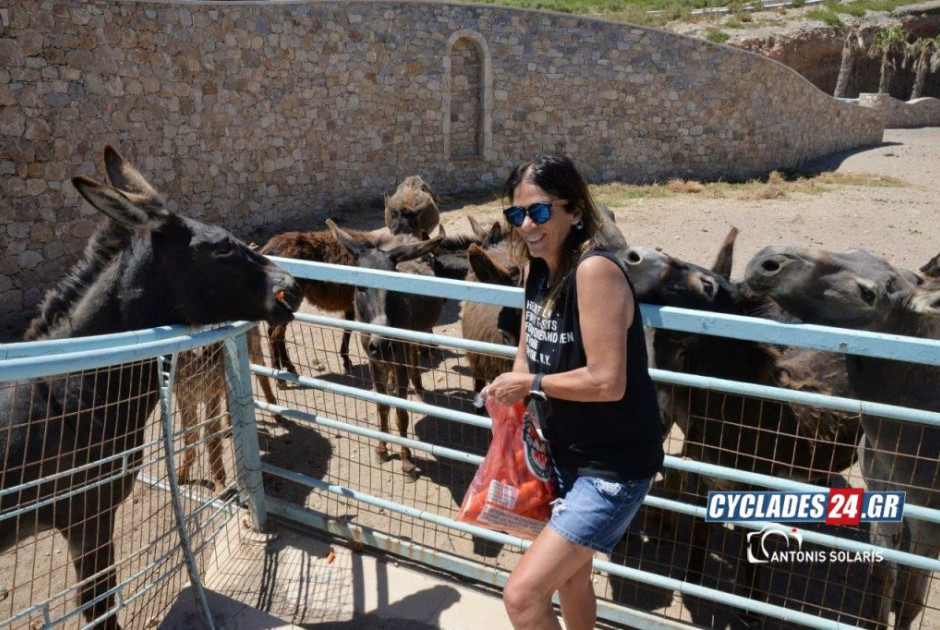 γαιδουρια