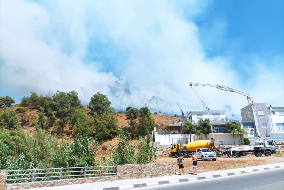 πυρκαγιά Μοσφιλωτή