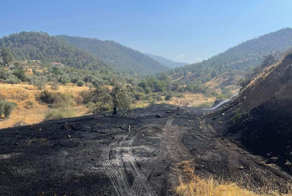 πυρκαγια νικηταρι