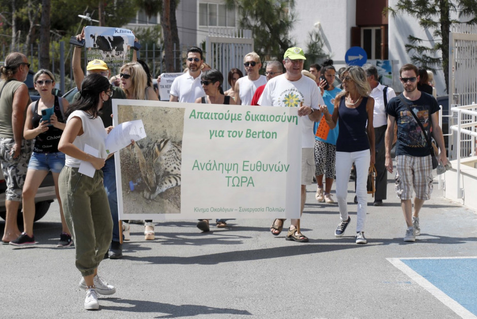 διαμαρτυρια γατος